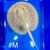 Golden Base Albino X Albino Pearl Female Stingray Pup