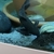 2 x Hoplo catfish