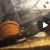 FRY ONLY.........Polar blue cichlids
