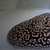 Leucistic key stingray pups UK bred £600
