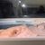 Leucistic key stingray pups UK bred £600